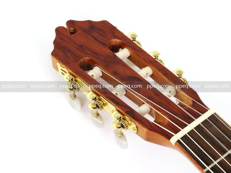 39 Inch Full Size Cutaway Nylon String Classical Guitar with Gloss Finish (TY-014)