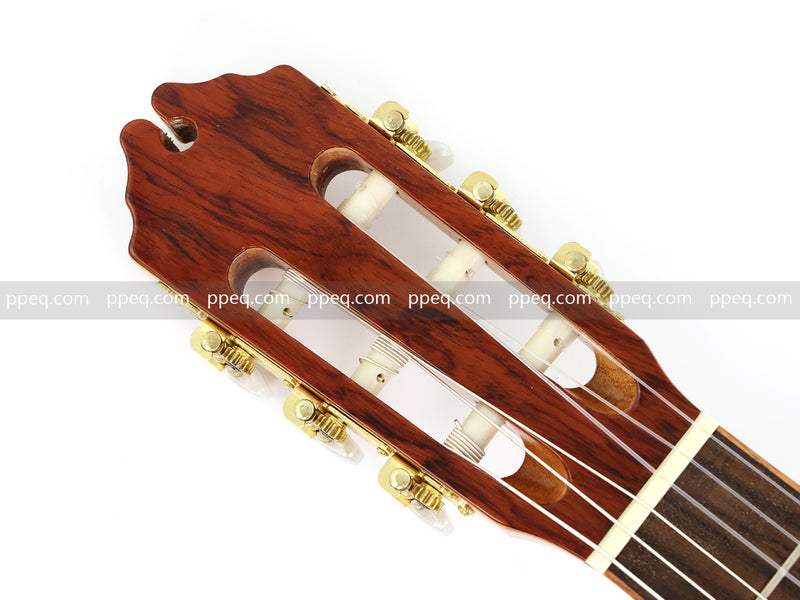 39 Inch Full Size Cutaway Nylon String Classical Guitar with Gloss Finish (TY-014)