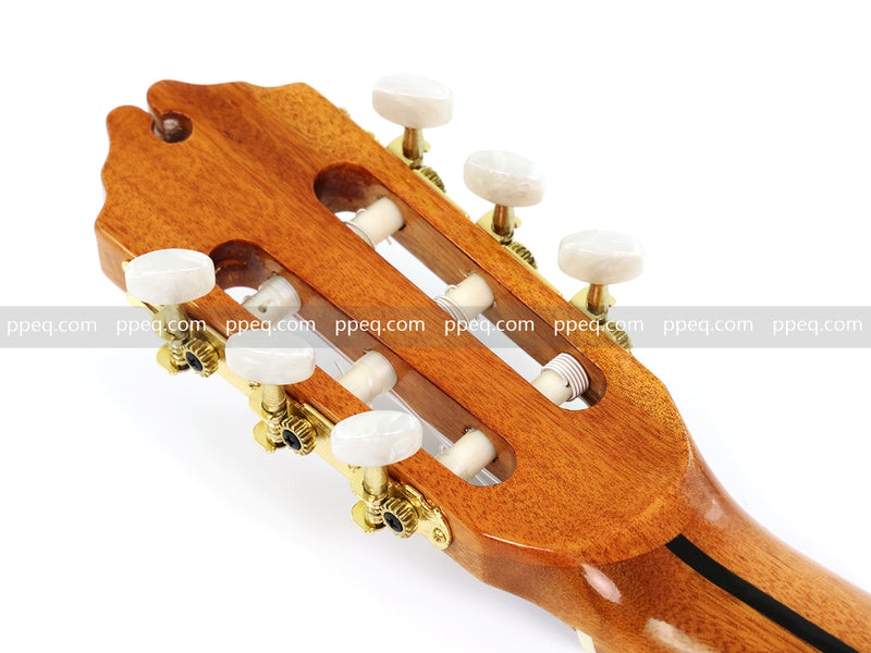 39 Inch Full Size Cutaway Nylon String Classical Guitar with Gloss Finish (TY-014)