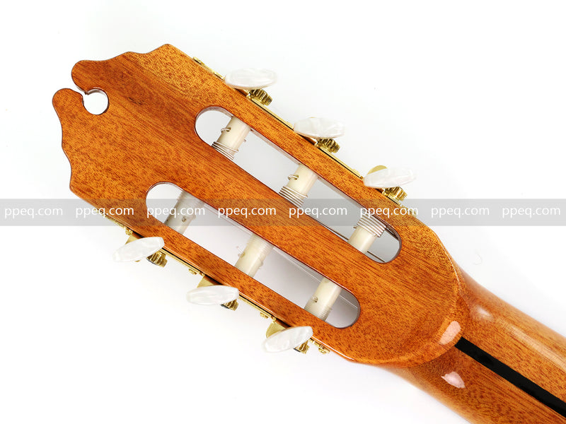 39 Inch Full Size Cutaway Nylon String Classical Guitar with Gloss Finish (TY-014)