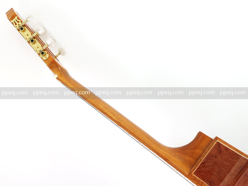 39 Inch Full Size Cutaway Nylon String Classical Guitar with Gloss Finish (TY-014)