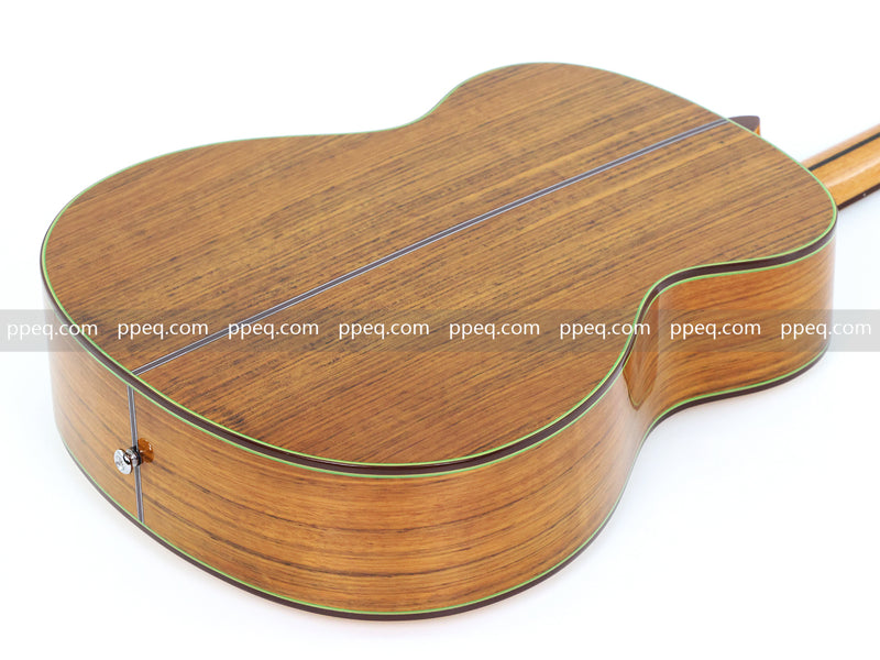 40 Inch Walnut Back & Sides Non-Cutaway Acoustic Guitar with Gloss Finish (TY-018)