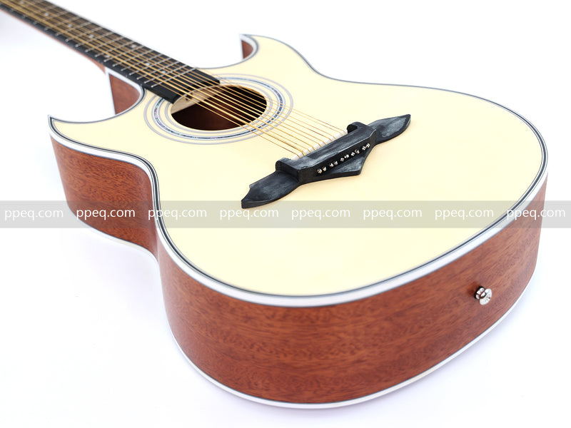 41-inch 10-String Double Cutaway Acoustic Guitar (JY-1010)