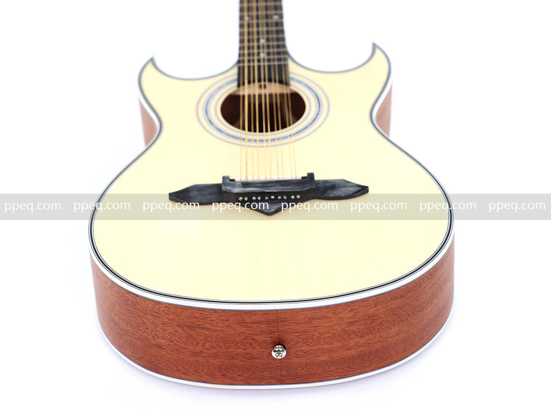 41-inch 10-String Double Cutaway Acoustic Guitar (JY-1010)