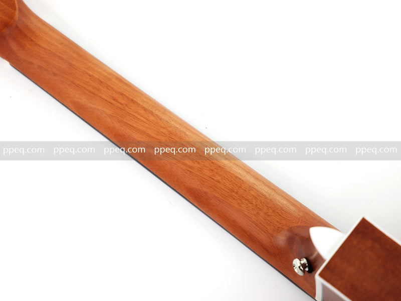 41-inch 10-String Double Cutaway Acoustic Guitar (JY-1010)