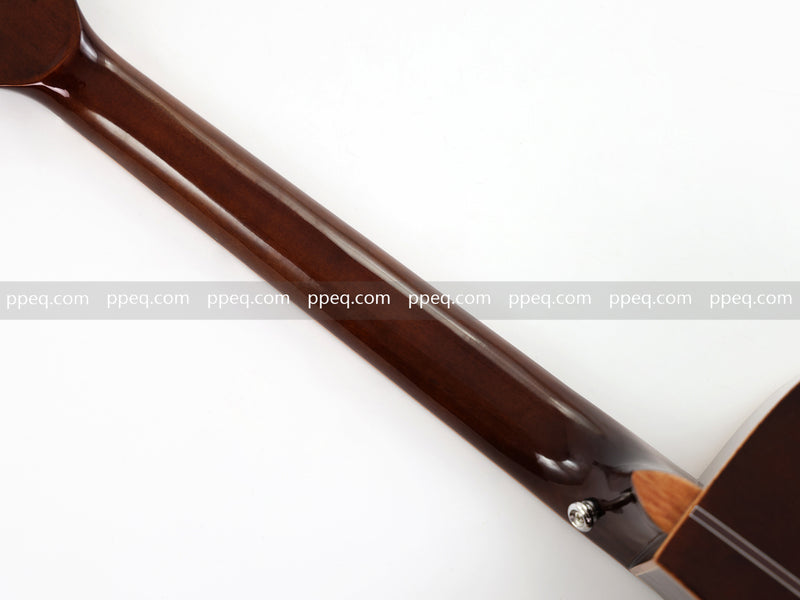 41-inch Spruce Top Gloss Finish Acoustic Guitar (TY-005)