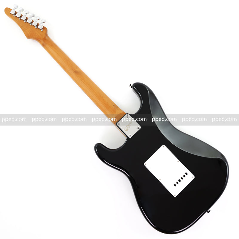 6-String ST-Style PC Body Electric Guitar with Gloss Mesmerizing Loong Finish (XST-302)
