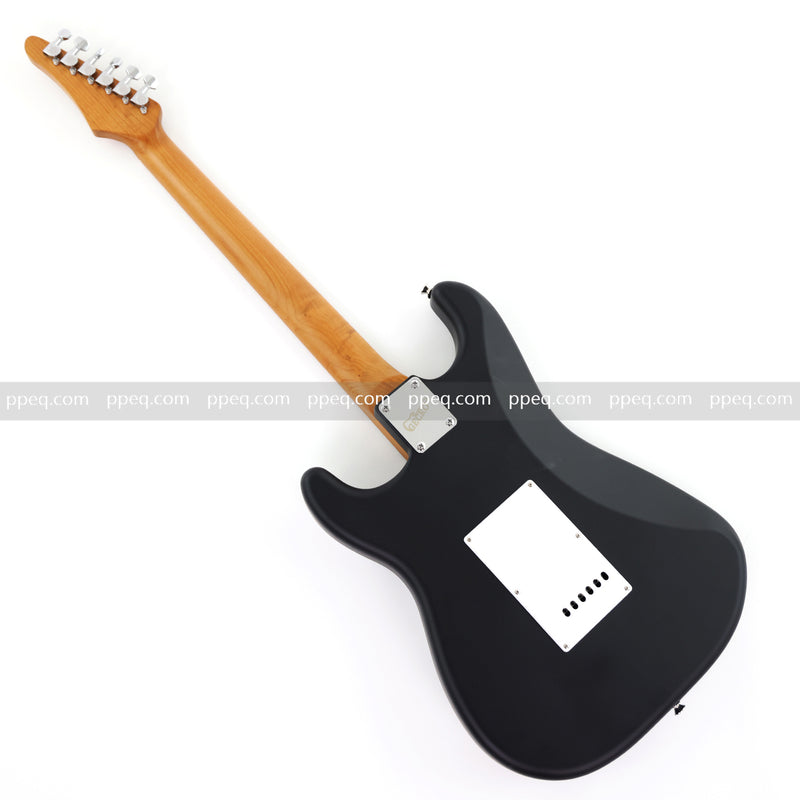 6-String ST-Style PC Body Electric Guitar with Matte Hydrographic Graphic Finish (XST-303)