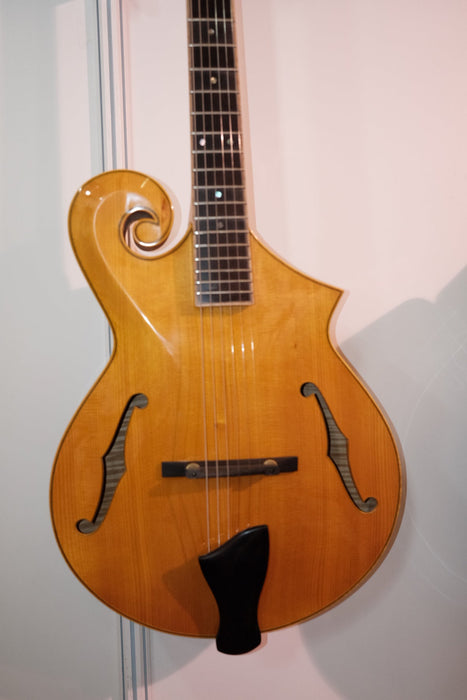 All Handcraft Hollow Body Archtop Mandolin Electric Guitar (PYZ-1837)