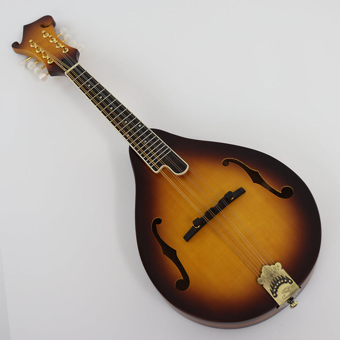 All Solid Wood A Mandolin (PMA-021, Shanghai Music Show Sample)