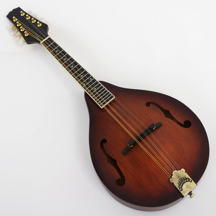 All Solid Wood A Mandolin (PMA-023S, Shanghai Music Show Sample)