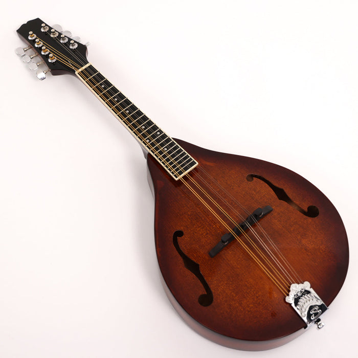 All Solid Wood A Mandolin (PMA-024, Shanghai Music Show Sample)