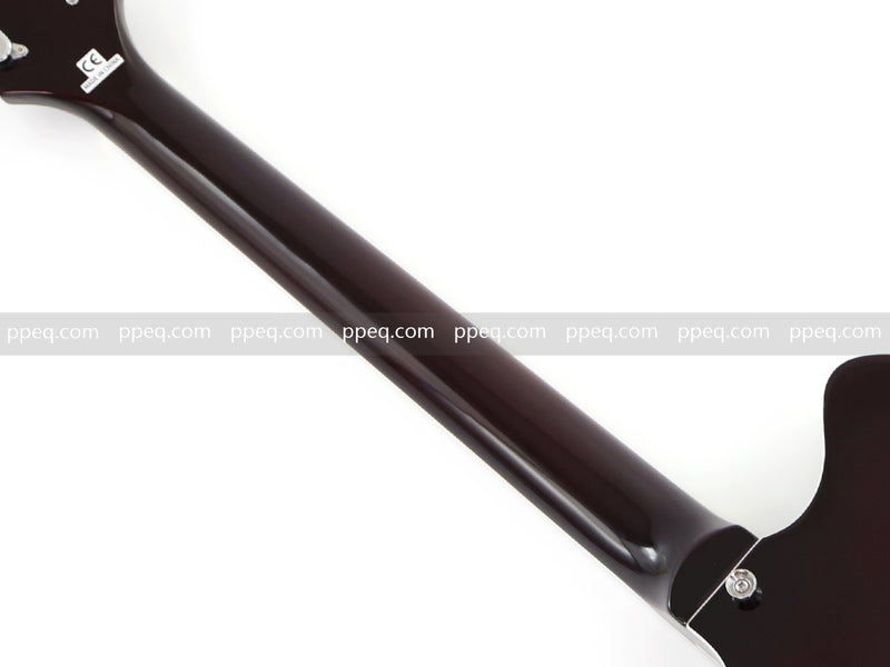 ES-Style Semi-Hollow Body Electric Guitar with AAA Zebrawood Veneer (HY-2567)