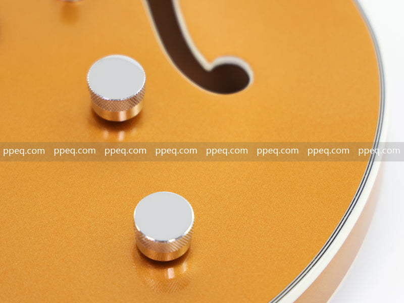 ES-Style Semi-Hollow Body Electric Guitar with Gold Gloss Metallic Finish (HY-2564)