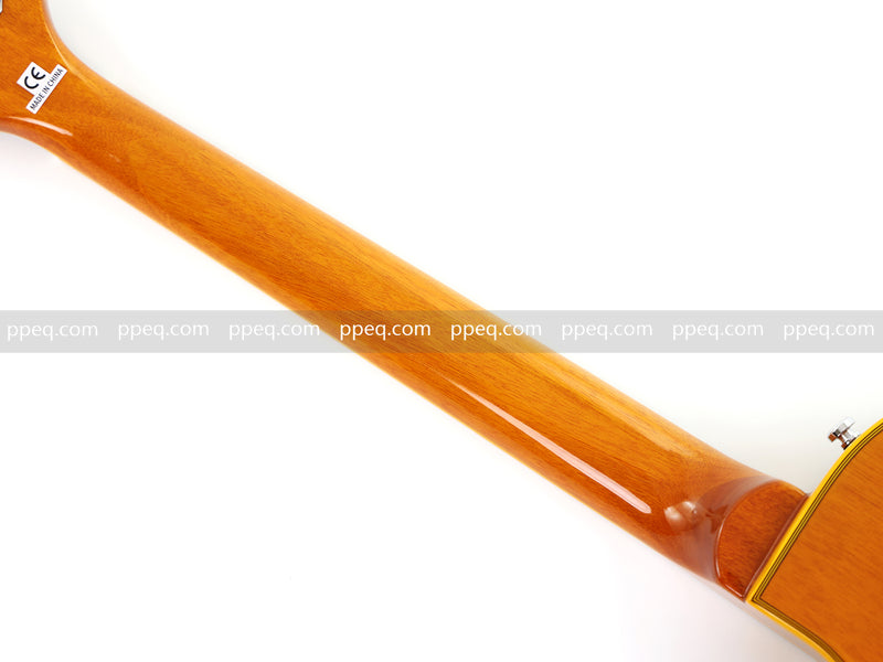 LP Custom Style Electric Guitar with AAA Flamed Maple Veneer Top (HY-2539)