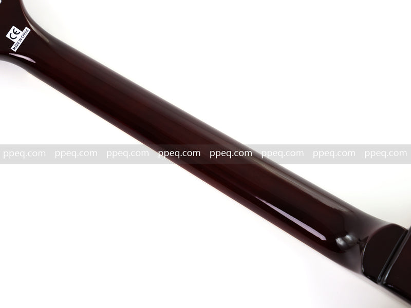 LP Standard Style Electric Guitar with AA Flamed Maple Veneer Top (HY-2540)