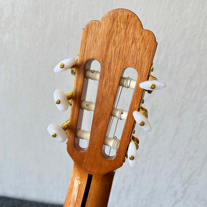 Shanghai Music Show Sample 39 Inch Solid Spruce Top Classical Guitar (C71)