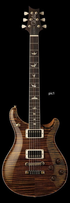 Custom Design Electric Guitar (2024-10-25)