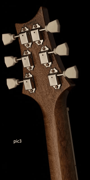 Custom Design Electric Guitar (2024-10-25)