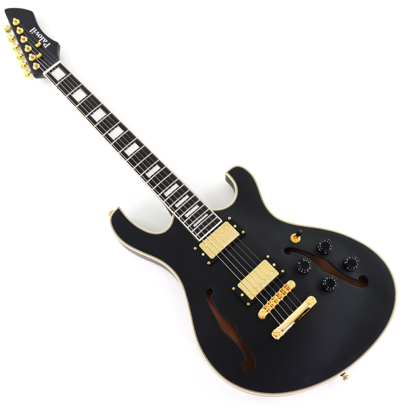 Semi-Hollow Body Electric Guitar with Matte Black Finish (HY-2563)
