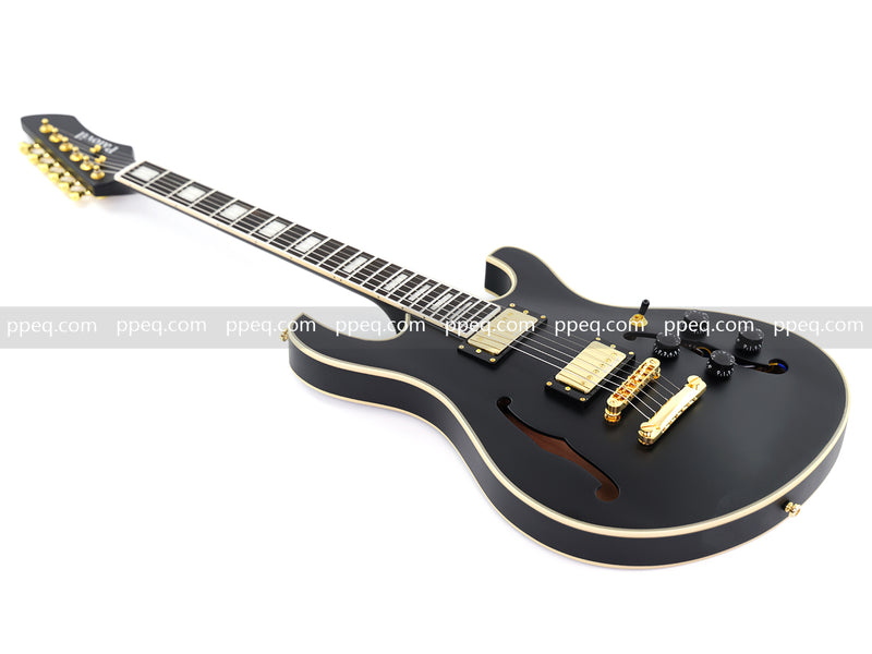 Semi-Hollow Body Electric Guitar with Matte Black Finish (HY-2563)