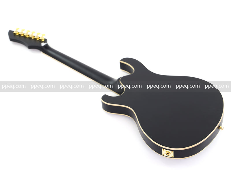 Semi-Hollow Body Electric Guitar with Matte Black Finish (HY-2563)