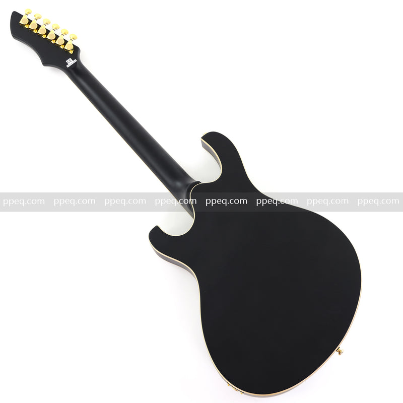 Semi-Hollow Body Electric Guitar with Matte Black Finish (HY-2563)