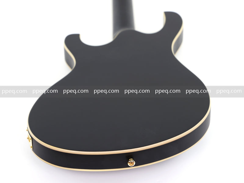 Semi-Hollow Body Electric Guitar with Matte Black Finish (HY-2563)