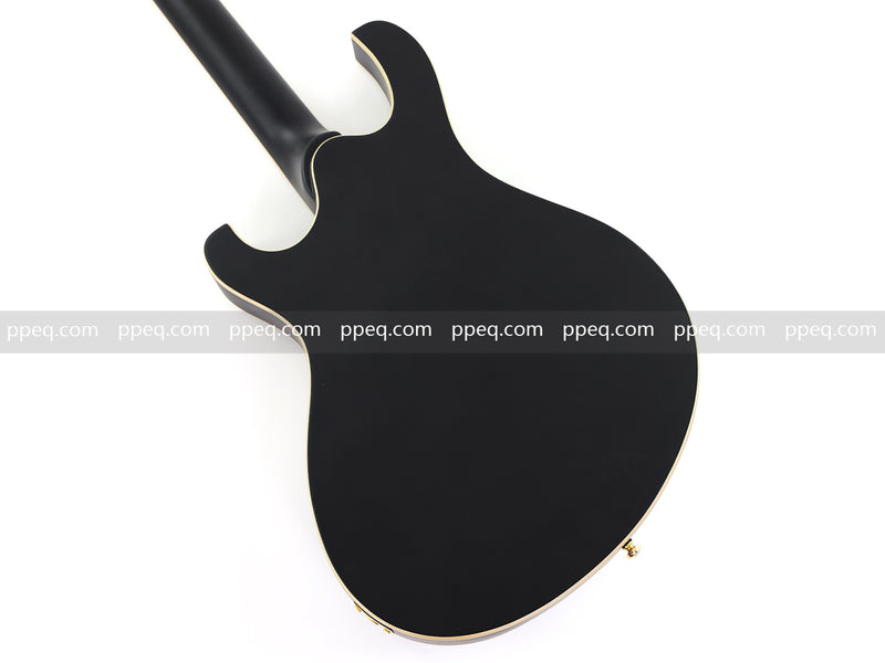 Semi-Hollow Body Electric Guitar with Matte Black Finish (HY-2563)