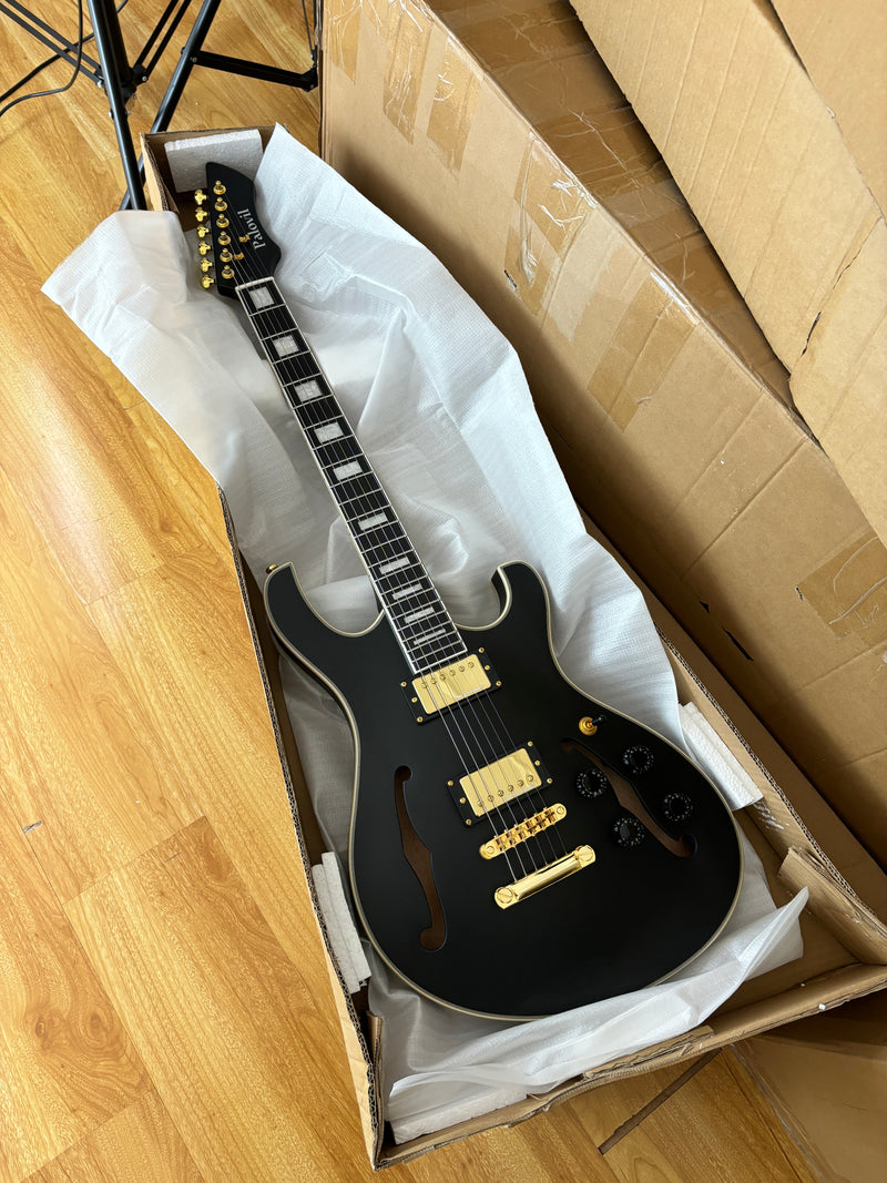 Semi-Hollow Body Electric Guitar with Matte Black Finish (HY-2563)