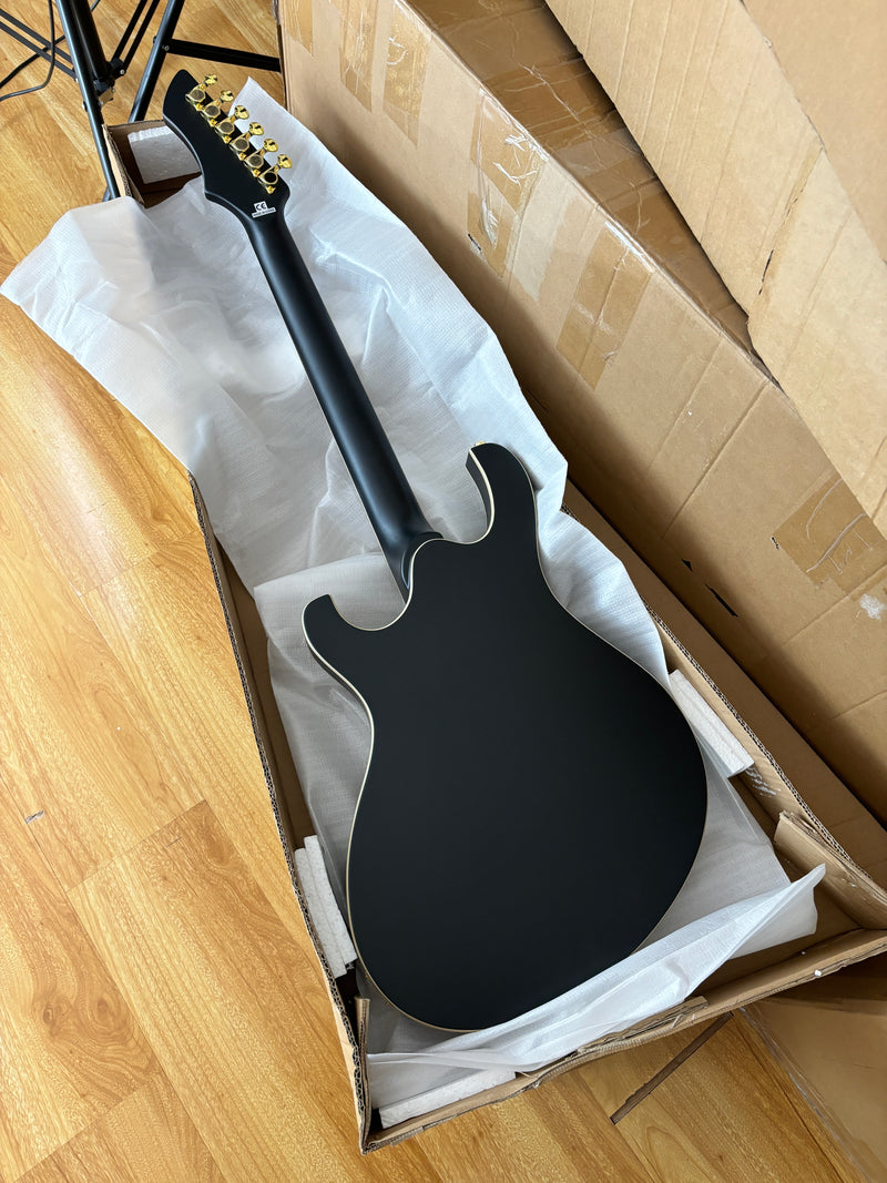 Semi-Hollow Body Electric Guitar with Matte Black Finish (HY-2563)
