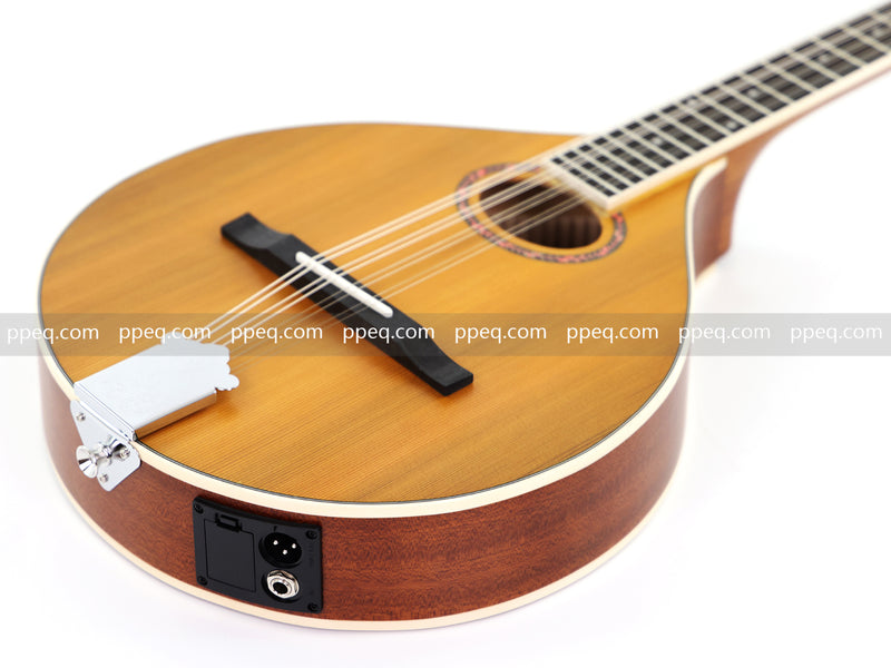 Solid Red Pine Top, 436mm Scale Length Bouzouki with Built-in EQ (PBZ-003)