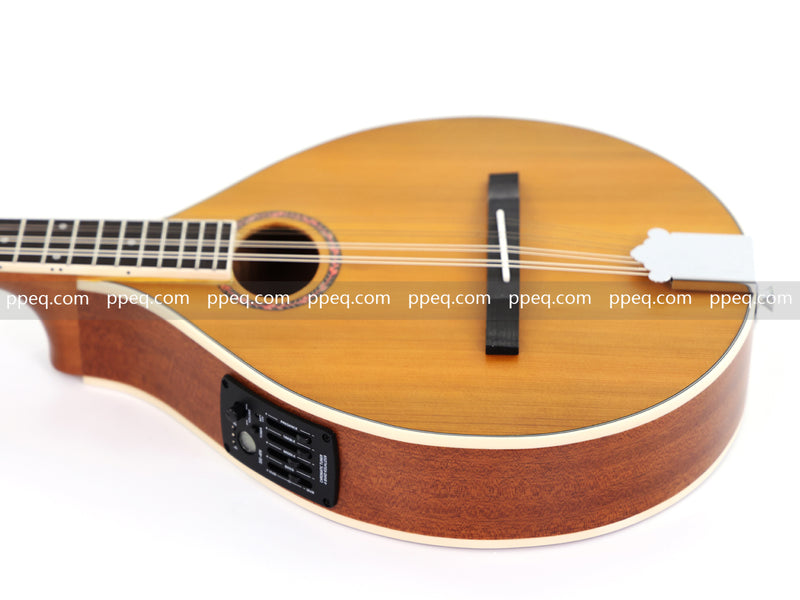 Solid Red Pine Top, 436mm Scale Length Bouzouki with Built-in EQ (PBZ-003)