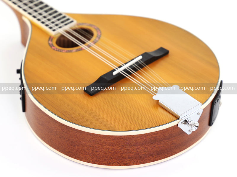 Solid Red Pine Top, 436mm Scale Length Bouzouki with Built-in EQ (PBZ-003)