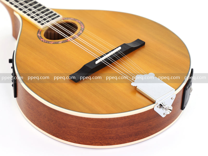 Solid Red Pine Top, 436mm Scale Length Bouzouki with Built-in EQ (PBZ-003)