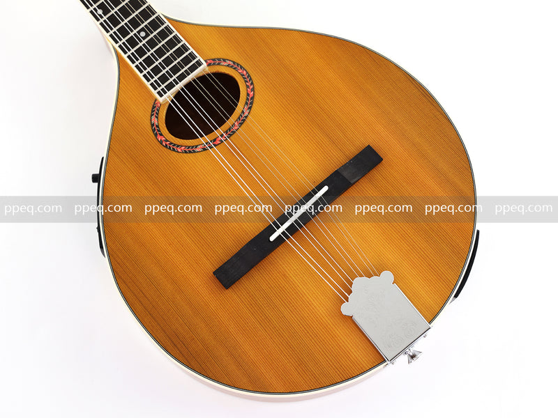 Solid Red Pine Top, 436mm Scale Length Bouzouki with Built-in EQ (PBZ-003)