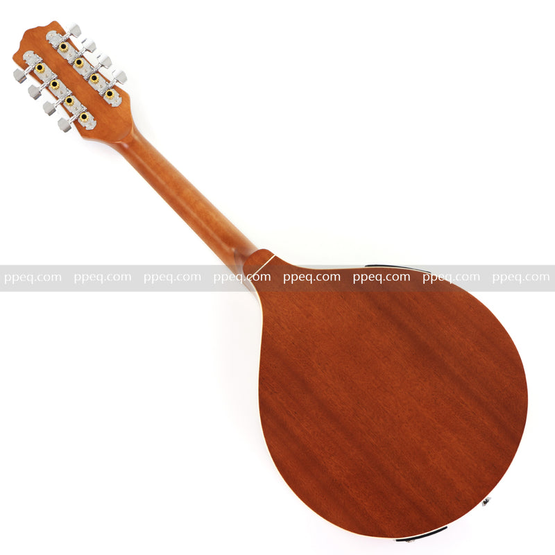 Solid Red Pine Top, 436mm Scale Length Bouzouki with Built-in EQ (PBZ-003)