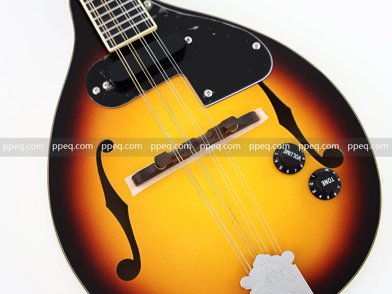 Sunburst Finish A-Style Electric Mandolin (M-9BSE)