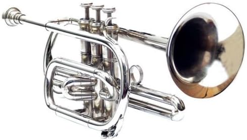 B Key Cornet with Case