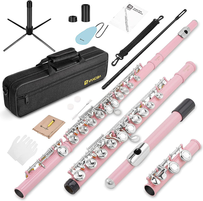 Closed Hole C Flute with Case, Stand and Cleaning Kit