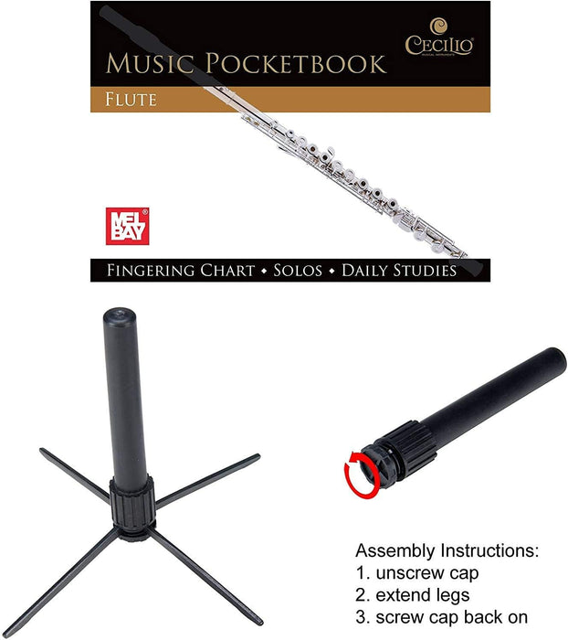 Closed Hole C Flute with a Case, Stand, Cleaning Kit