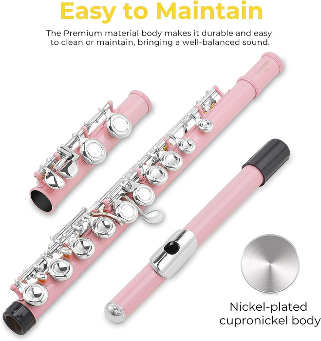 Closed Hole C Flute with Case, Stand and Cleaning Kit