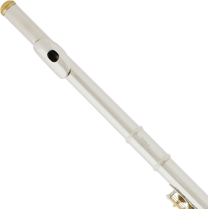 Closed Hole C Flute with a Case, Stand, Cleaning Kit