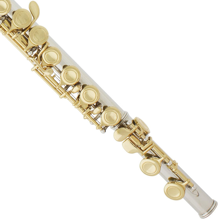 Closed Hole C Flute with a Case, Stand, Cleaning Kit