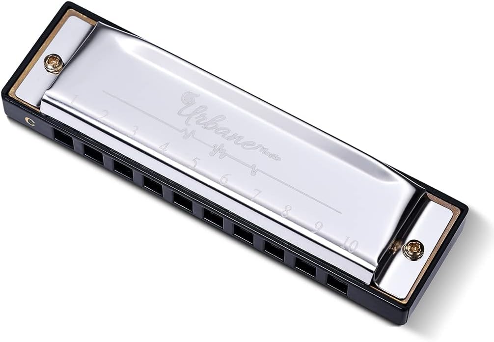 10 Holes 20 Tunes Harmonica in C with Case