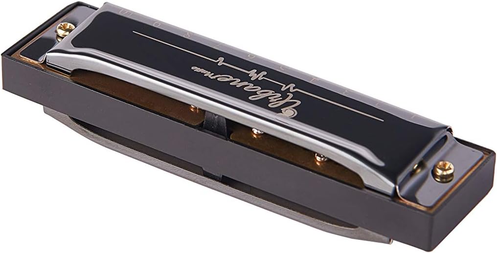 10 Holes 20 Tunes Harmonica in C with Case