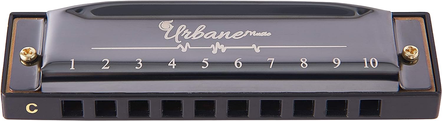 10 Holes 20 Tunes Harmonica in C with Case