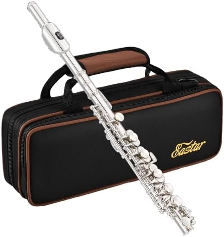 C Key Piccolo with Case, Gloves