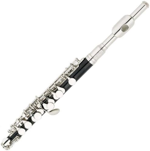 C Key Piccolo with Case, Gloves