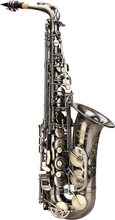 E Flat Alto Saxophone with Reeds, Case, Care Kit and Neck Strap